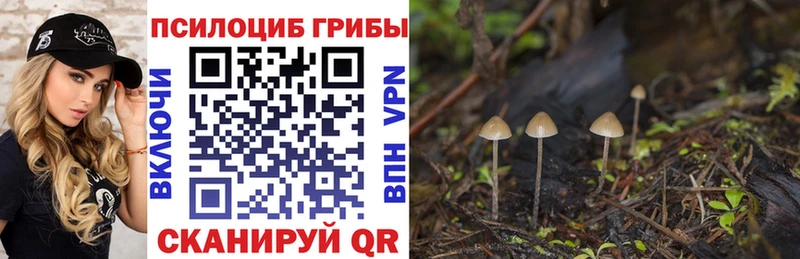 Купить где  Костомукша  Галлюциногенные грибы мицелий 